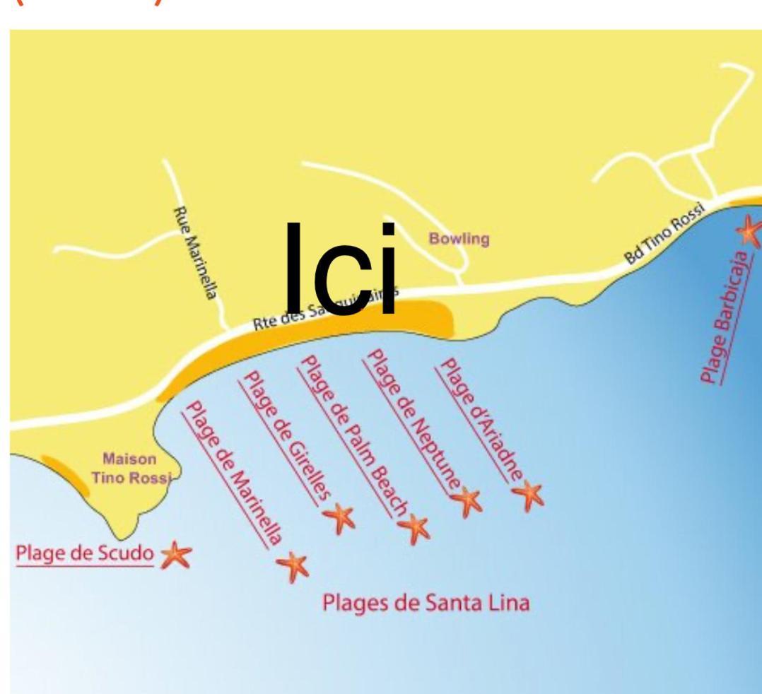 Superbe Pieds Dans L Eau Ajaccio Face A La Mer Plage De Sable Fin Route Des Iles Des Sanguinaires Exteriér fotografie